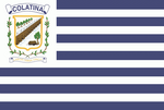 Bandeira-colatina