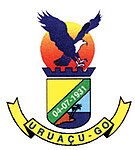 Brasaouruaçu