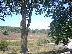 Brunssummerheideoverview