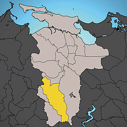 Caimito