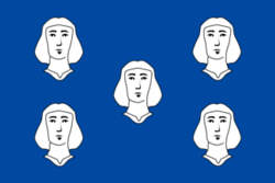 Cineyvlag