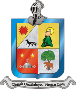Guadalupe-nl-escudo-de-armas288x337