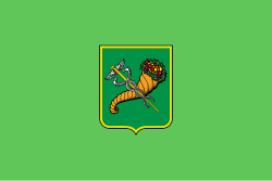 Kharkiv-town-flag