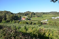 LenswoodSA