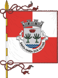 Lsb-smo