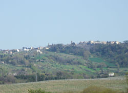 MaiolatiSpontini