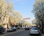 Metuchen1