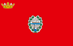 MoañaFlag