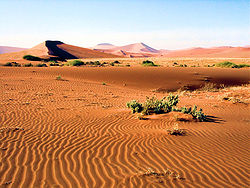 NamibNaukluftParkDunes