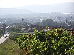 Nieder-Ingelheim-Sommer