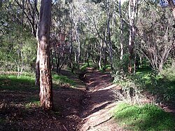 ParaHillsgully-20may2006