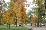 Riverfront-park-laurel-mt-10052010-rogermpeterson