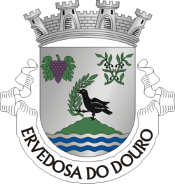 SJP-ervedosadouro