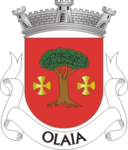 TNV-olaia