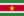 Suriname flag